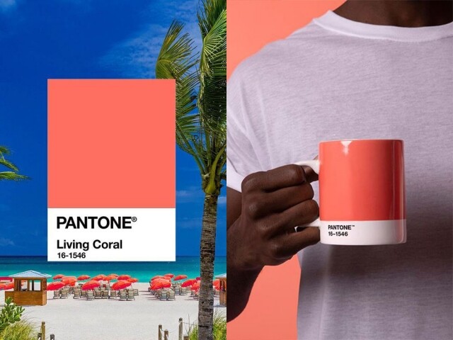 Pantone 剛剛公布 2019 年度色是 #16-1546 Living Coral 活珊瑚橘色