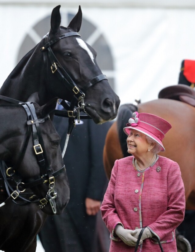 英女王的「誘餌」帽子