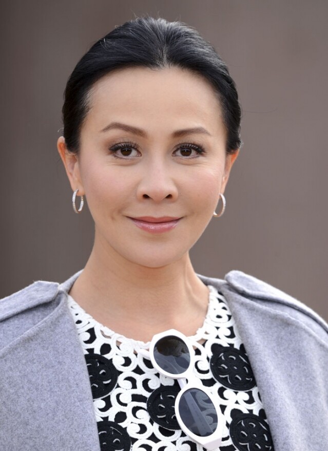 直到1991年，劉嘉玲遇上了王家衛，備受賞識而被邀請拍攝電影《阿飛正傳》