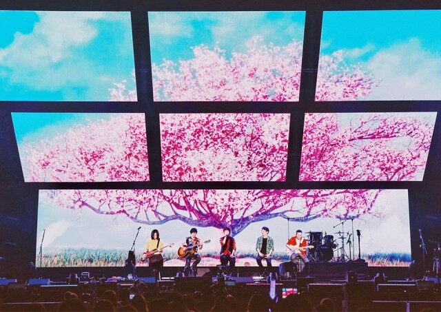 五月天與歌迷於大阪櫻花樹下坐上時光機