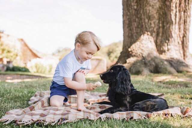 小王子與狗隻互動的照片突出了他充滿愛心的一面。