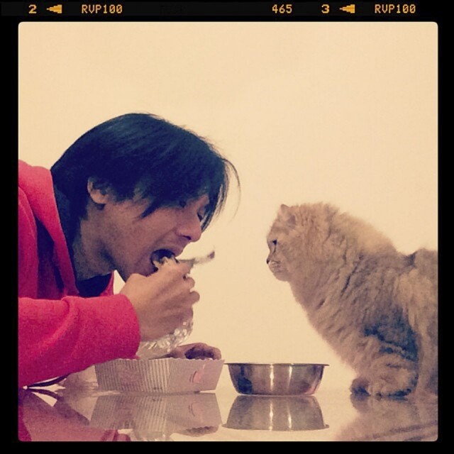 舒淇在 Instagram 上突然 post 了一張馮德倫與貓吃飯的照片。