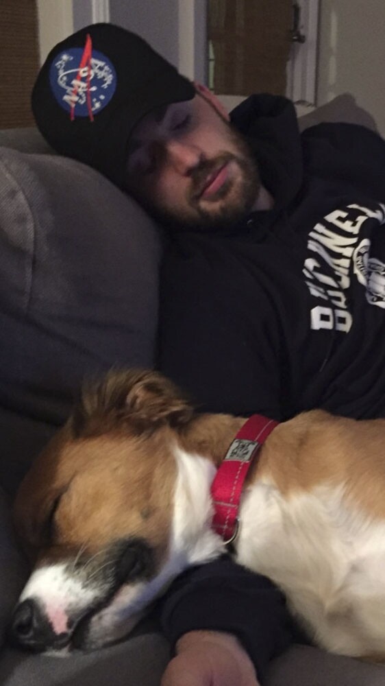 Chris Evans 的愛犬躺在他的腿上。