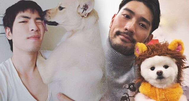 蕭敬騰和他的愛犬，以及高以翔和他的愛犬。
