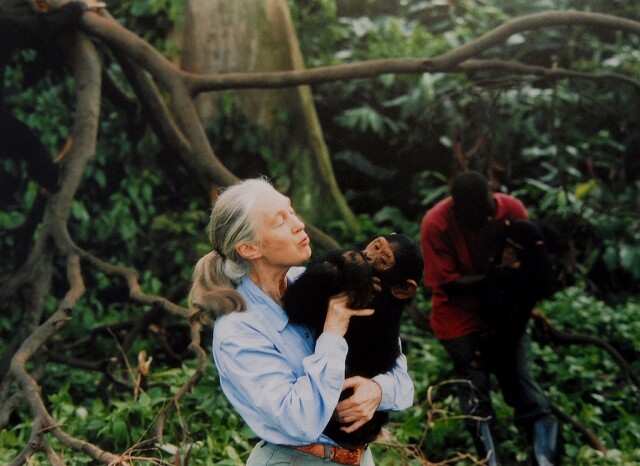Jane Goodall 活得充實