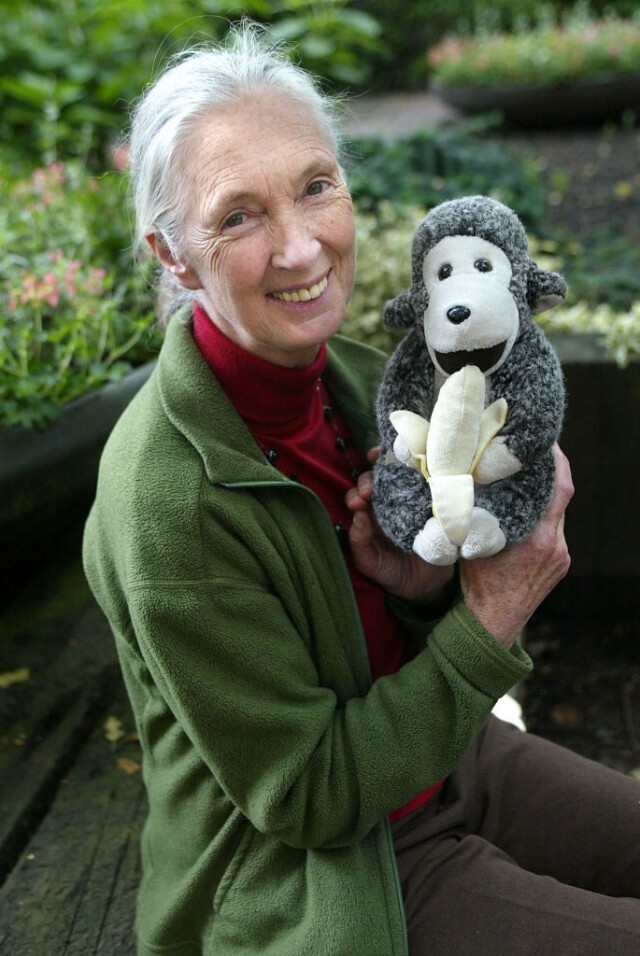 Jane Goodall 成為素食者的原因