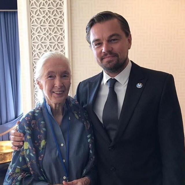 Jane Goodall 與 Leonardo Dicaprio 從保育到結成密友 Jane Goodall 與 Leonardo Dicaprio 從保育到結成密友