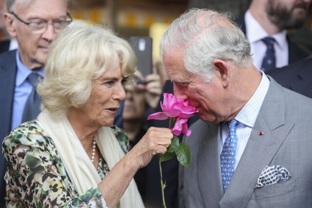 查理斯王子與卡米拉於 2005 年 4 月成婚，成為王室的其中一員。自此常伴在查理斯王子身旁出席大大小小的活動。
