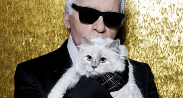 Karl Lagerfeld 老佛爺愛貓 Choupette IG 帳號被黑客入侵
