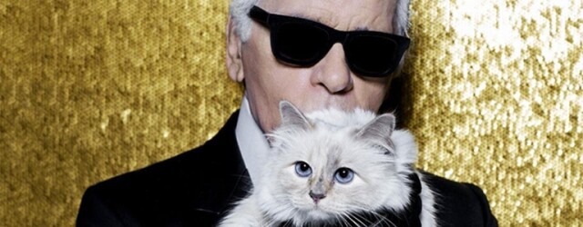 Karl Lagerfeld 老佛爺愛貓 Choupette IG 帳號被黑客入侵