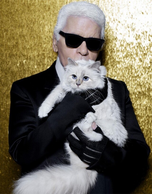 Karl Lagerfeld 老佛爺愛貓 IG 帳號被黑客入侵