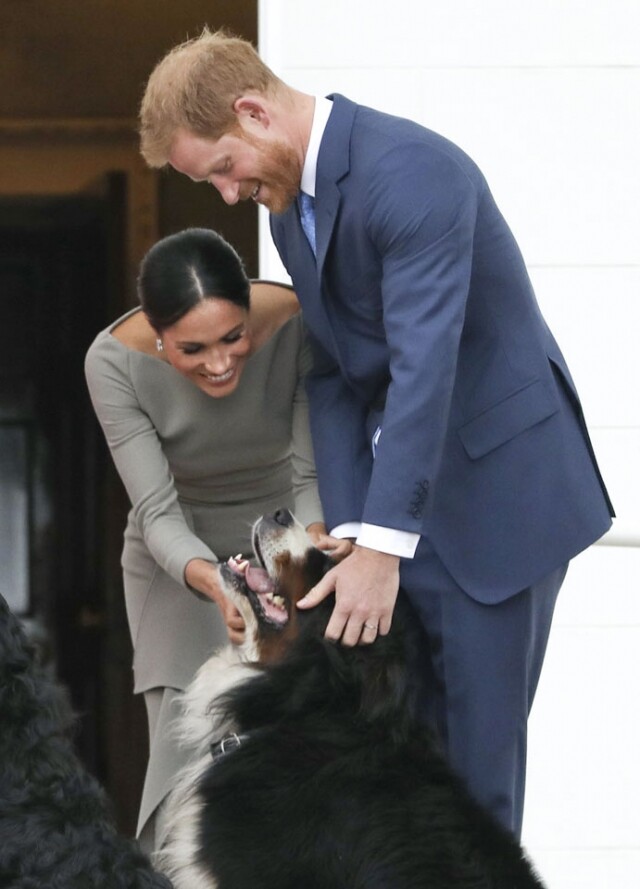 近日,Meghan Markle 被記者拍到在官邸外遛狗 近日,Meghan Markle 被記者拍到在官邸外遛狗