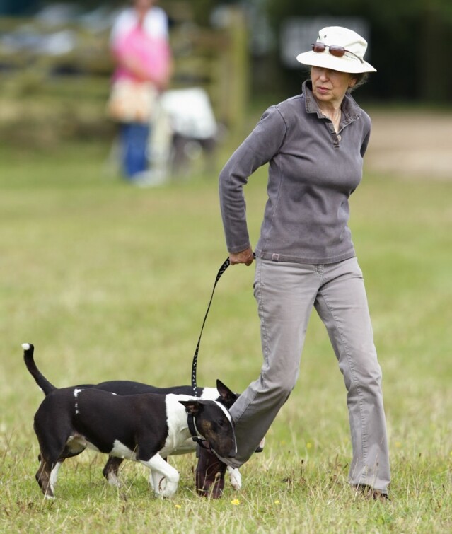 安妮公主也帶過她的鬥牛犬出席 Gatcombe 賽馬選拔賽。