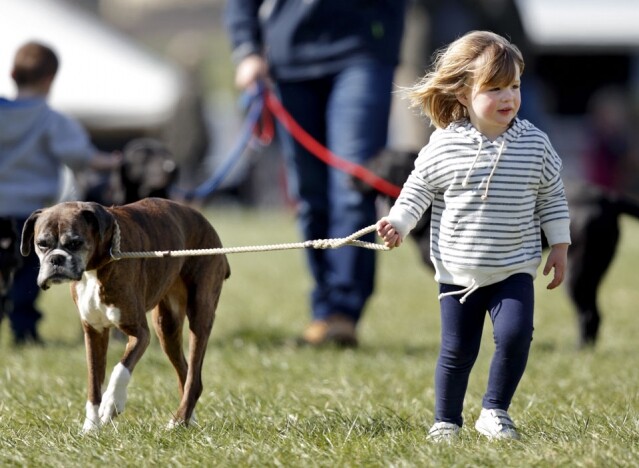 小小的皇室成員 Mia Tindall 也是愛狗的一份子。小狗 Spey 便是她們家的一份子。