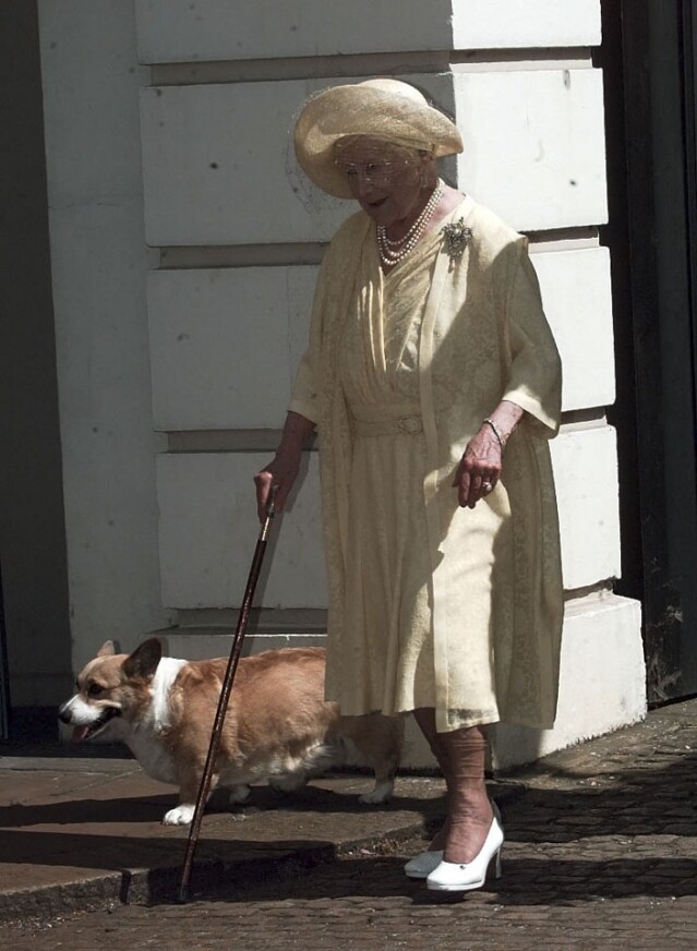 現在英女皇身邊還有兩隻臘腸狗和哥基的混種犬陪伴她