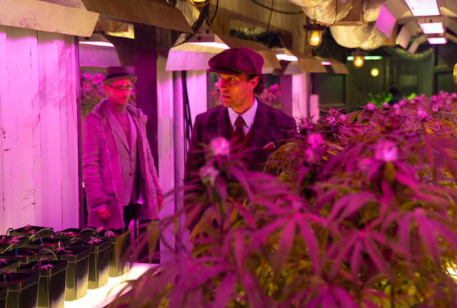 《瘋狂紳士幫》講馬修麥康納希想退休,並賣走自己的大麻種植場,以高價賣給Jeremy Strong,但遭到童黨偷貨 《瘋狂紳士幫》講馬修麥康納希想退休,並賣走自己的大麻種植場,以高價賣給Jeremy Strong,但遭到童黨偷貨