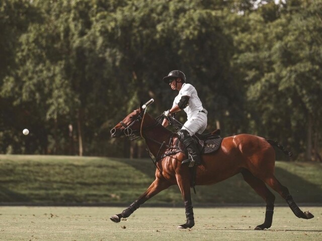 Mateen 王子熱愛並精通馬球運動，同時他也成為了專業的馬球運動員，不時會與隊伍參賽。
