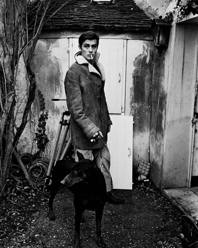 Alain Delon 出生於 1935 年 Alain Delon 出生於 1935 年