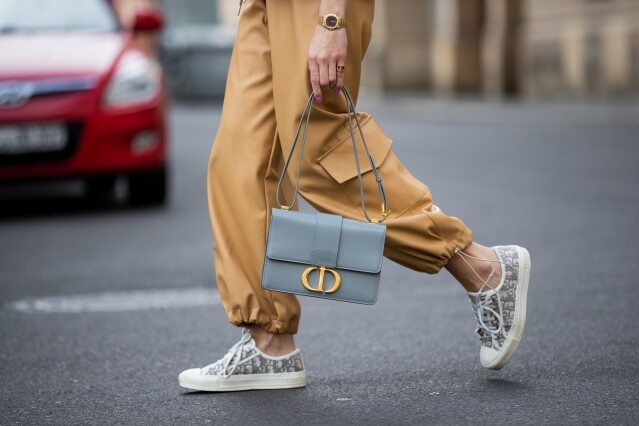 Dior Oblique 帆布鞋