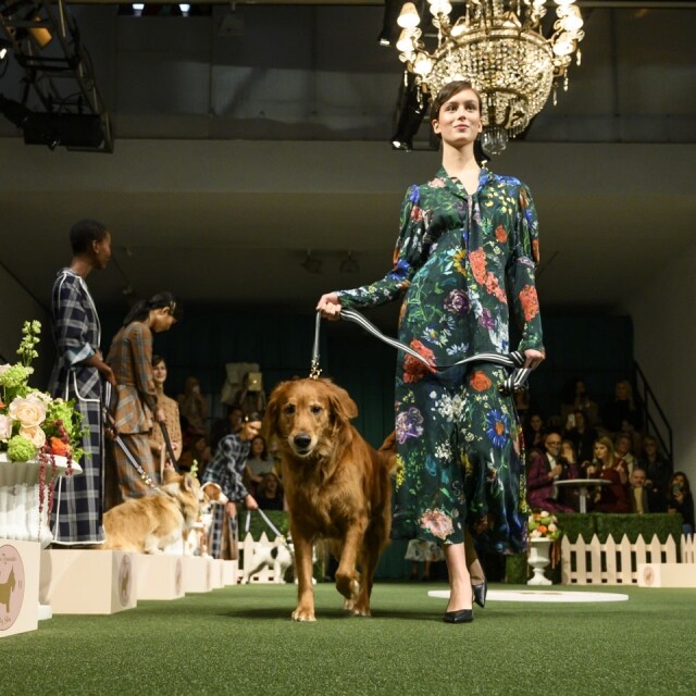 紐約時裝周同樣出現以狗作賣點的時裝騷，Lela Rose 今季就以狗展為題，模特兒帶同毛孩一起行騷，這種時裝騷你喜歡嗎？