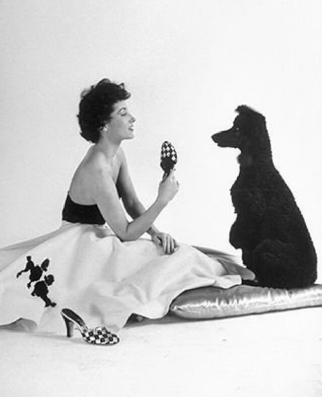 1950 年代：貴婦狗圖案裙