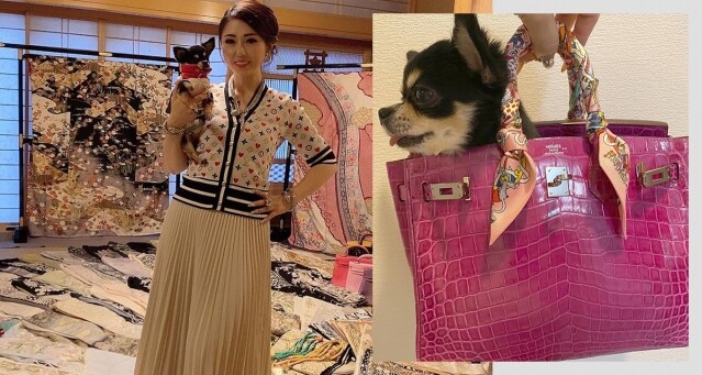 揭秘日本富婆高嶋理惠子的「超豪生活」！擁有 200 個 Hermes 手袋，吃飯要包場、心情好更會送 100 萬日圓小費！