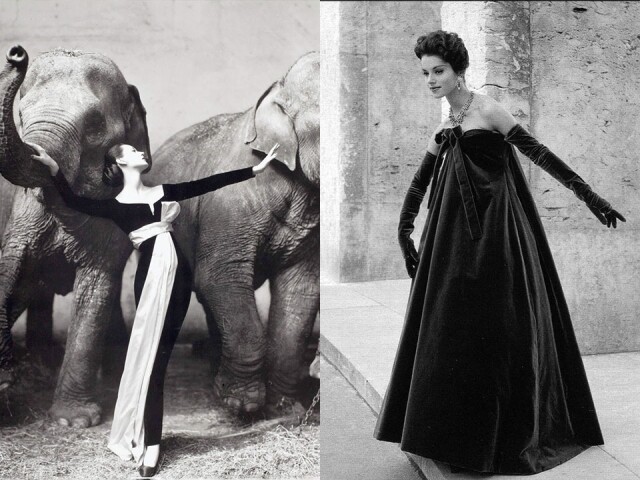 左：Yves Saint Laurent 為 Dior 效力的一襲 Y-Line 長裙，跟大象一同拍攝的時裝大片，成為了經典作品。 右：以絲絨設計的晚裝，如梯形般剪裁，Yves Saint Laurent 為 Dior 注入了活力。