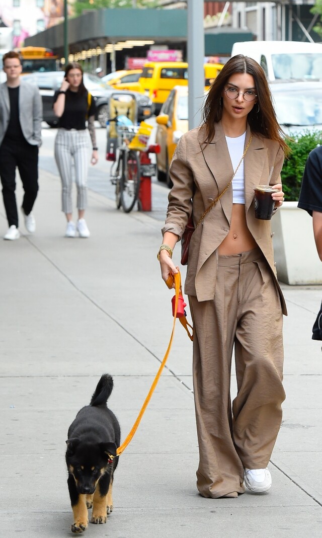Emily Ratajkowski 穿起西裝的遛狗造型出眾 Emily Ratajkowski 穿起西裝的遛狗造型出眾
