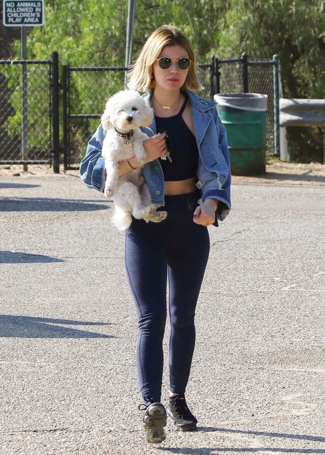 《美少女的謊言》的女星 Lucy Hale 帶着小狗 Elvis 逛街，整體看起來更性感有型。