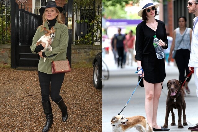 超模 Kate Moss 與 Anne Hathaway 的遛狗 look
