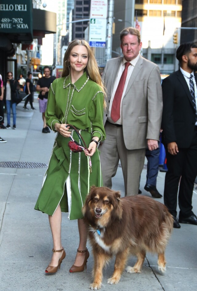 Amanda Seyfried綠色的絲質恤衫與半截裙穿搭值得參考,啡色的高涼鞋更與小狗的毛色襯到絕! Amanda Seyfried綠色的絲質恤衫與半截裙穿搭值得參考,啡色的高涼鞋更與小狗的毛色襯到絕!
