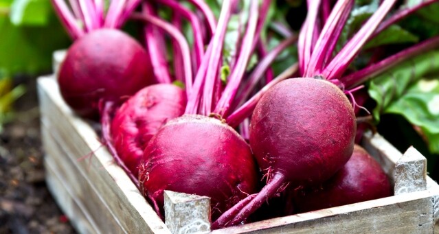 紅菜頭功效知多少？營養豐富、抗氧、提升免疫力等 5 大紅菜頭好處