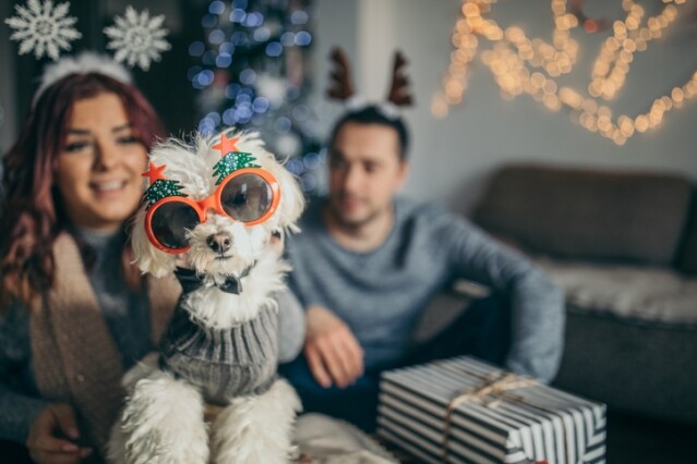 不如將派對主角的焦點落在寵物身上，將寵物打扮成可愛的聖誕造型，