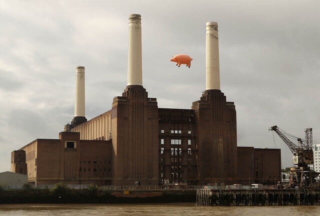 1977 年發行的專輯 《Animals》封面上，有一隻粉紅的豬在倫敦巴西特發電站上空飛翔，象徵一種社會現狀的反抗。