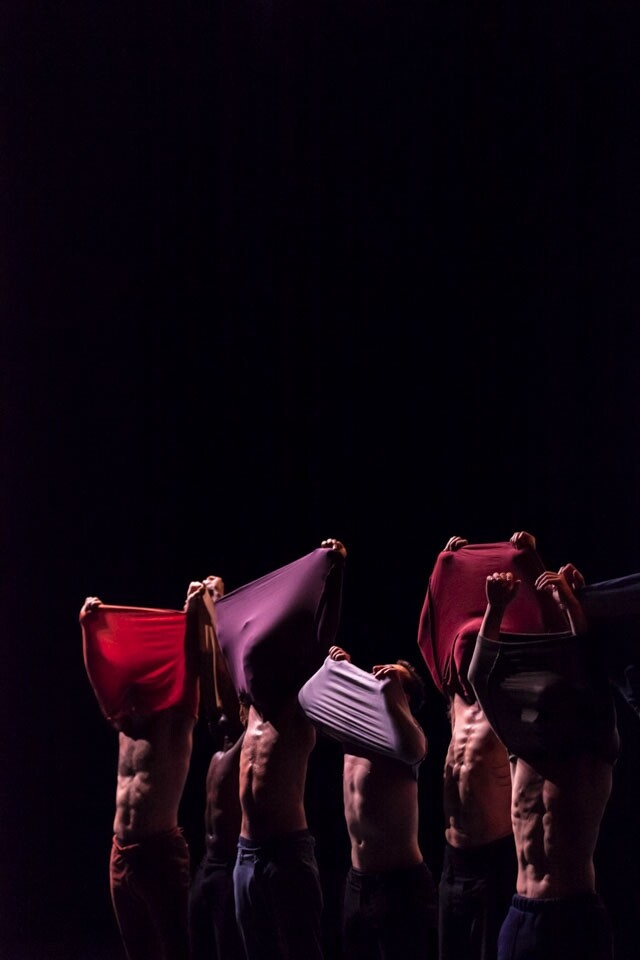 2019 春季舞蹈文化表演節目推介：面具舞團 Jabbawockeez、舞台劇《戰馬》、歌劇《美麗與哀愁》