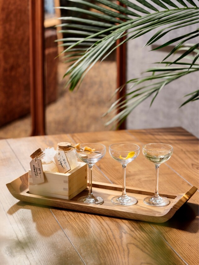 中環酒吧推介，香港特色酒吧之一 VEA Lounge。