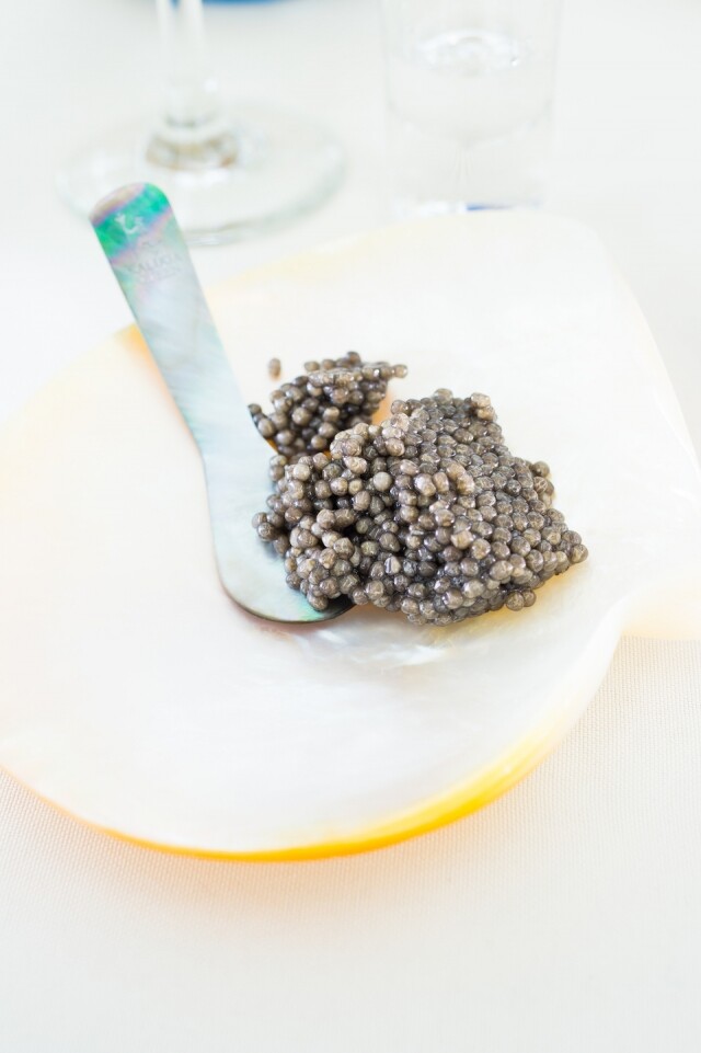 Beluga Caviar 是魚子醬中的神級極品，身價可以是天價。
