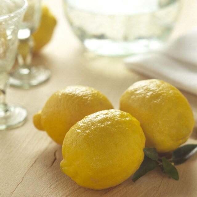 新鮮檸檬香味濃郁，而乾檸檬的香氣和維他命 C 都有缺失。