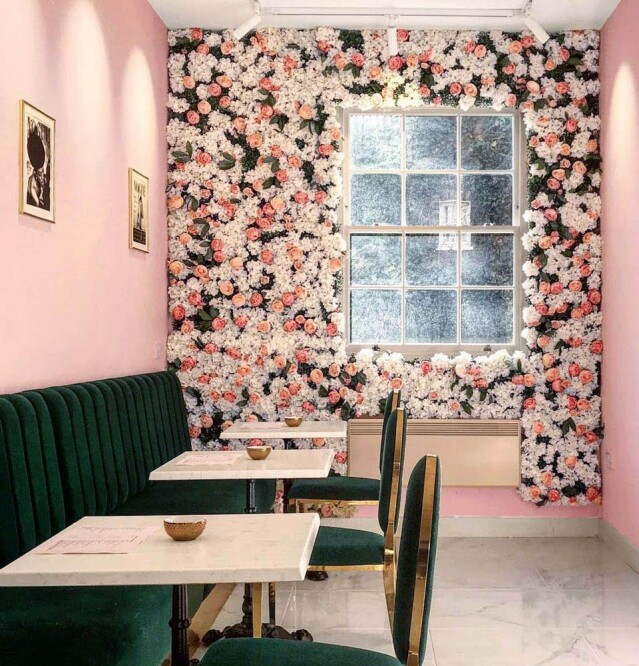 粉紅色牆襯托玫瑰花海也吸引了不少女生來打卡