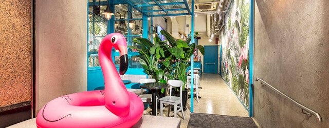 全新時尚茶坊 Flamingo Bloom 無添加健康茶飲解渴消暑、消脂減肥