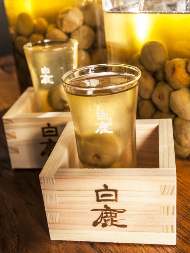 梅酒消脂又美肌,是最適合女人飲的酒 梅酒消脂又美肌,是最適合女人飲的酒