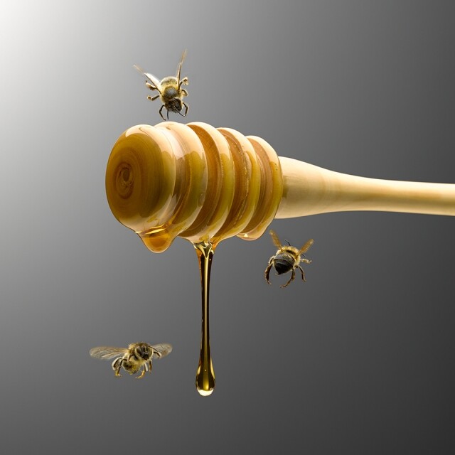 但原來每隻蜂蜜一生只能釀造十二分之一茶匙的蜜糖，即是說 1 公斤的蜂蜜需要一個蜂巢的蜂群圍繞繞地球飛三個圈才能收集到，而這些野生動物被人關起來，也會影響整個生態物種的平衡。另外，有商人為了防止蜂后飛走會剪掉她的翅膀，讓她無法帶走蜂群。有時為了確保工蜂數量，商人還會暴力地擠壓雄蜂身體，強迫雄蜂和蜂后進行人工交配，最終令其死亡。