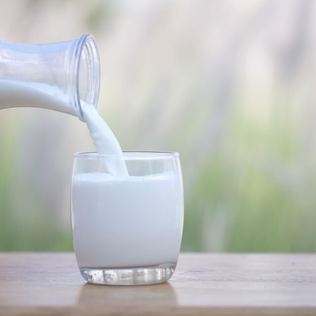 苔麩的鈣與鐵含量比全麥和牛奶來得更高
