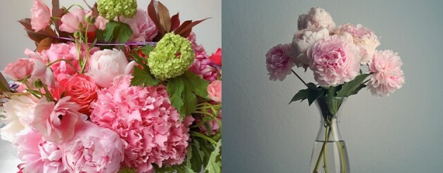 母親節訂甚麼花？花藝師 Solomon Leong 推薦這款母親節花束令媽媽成為幸福女人。
