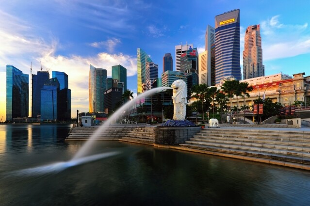 可作留學移民，於新加坡就讀公立或私立學校的留學生
