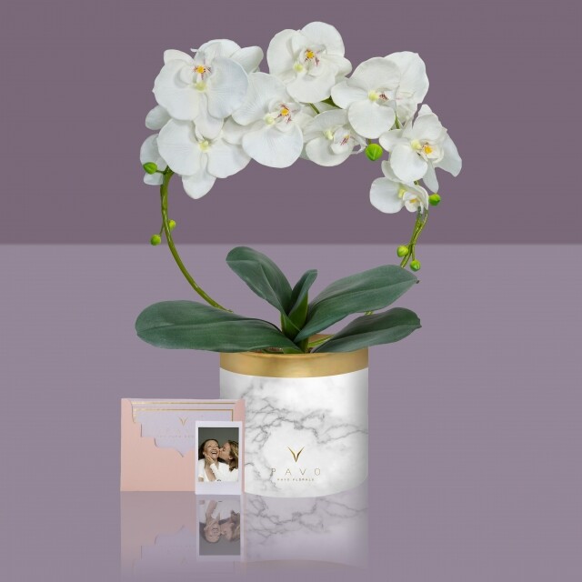 送贈白色蘭花突顯母親的優雅獨特個性。