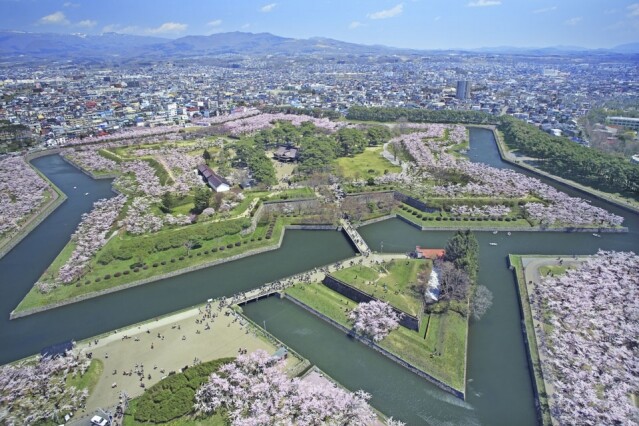 夏北海道櫻花 4、5 月才滿開！2018 夏北海道 10 大櫻花名所提案