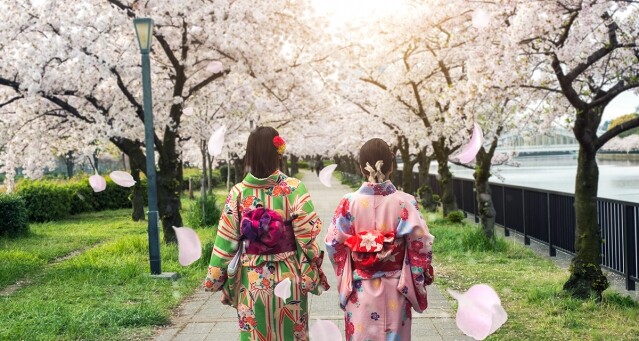 大阪、京都賞日本原鄉櫻花景點！2019 日本關西花期預測及必看櫻花景點