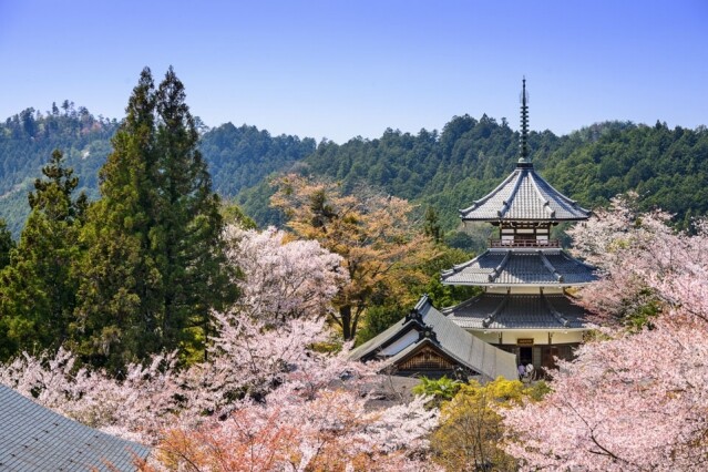 每年於櫻花盛開之際，吉野山寺廟中會舉行花供會式。
