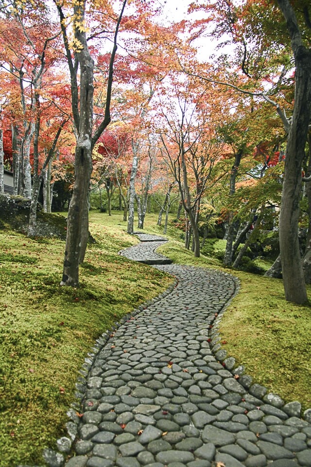 箱根紅葉景點之一有強羅公園